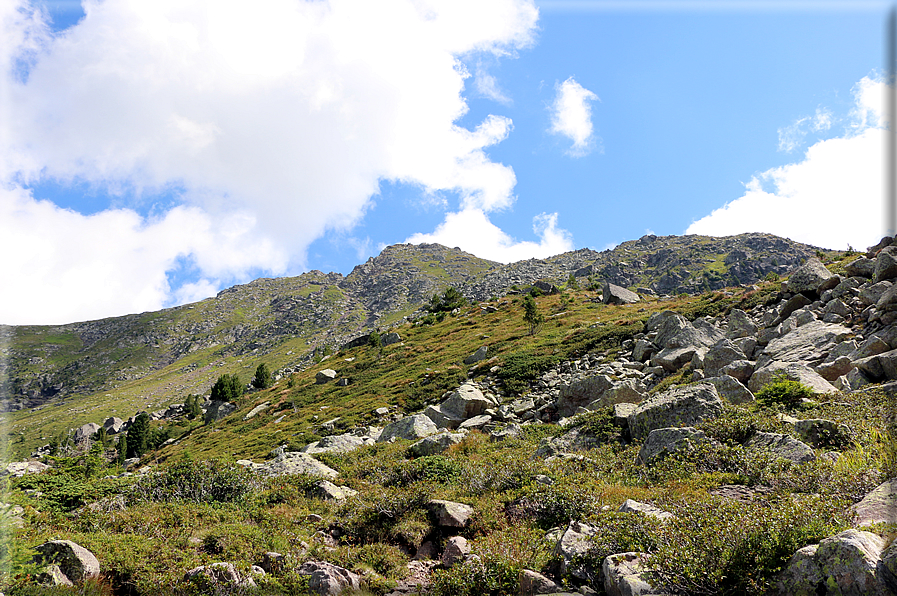 foto Forcella di Montalon